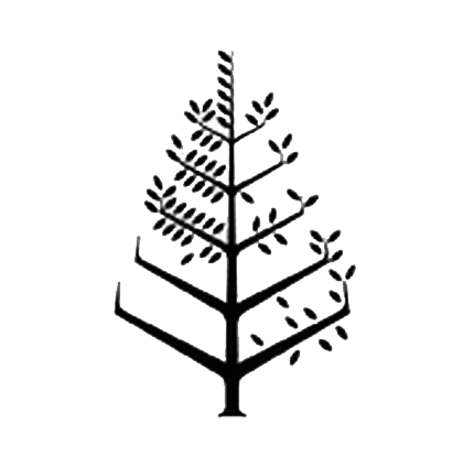 Four Seasons Resort Megève Logo